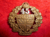 MM145a - 45th Victoria Regiment Collar Badge